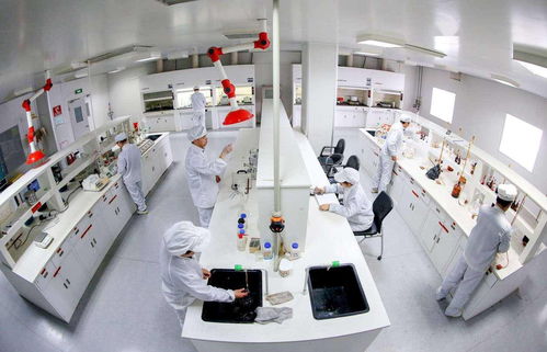 中國恩菲 新能源金屬基礎材料產業鏈技術體系開發與應用